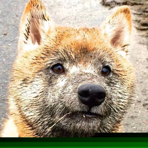 开云体育中国官方网站-“英超榜首队伍迎来关键比赛，战局变化莫测”，英超球队榜