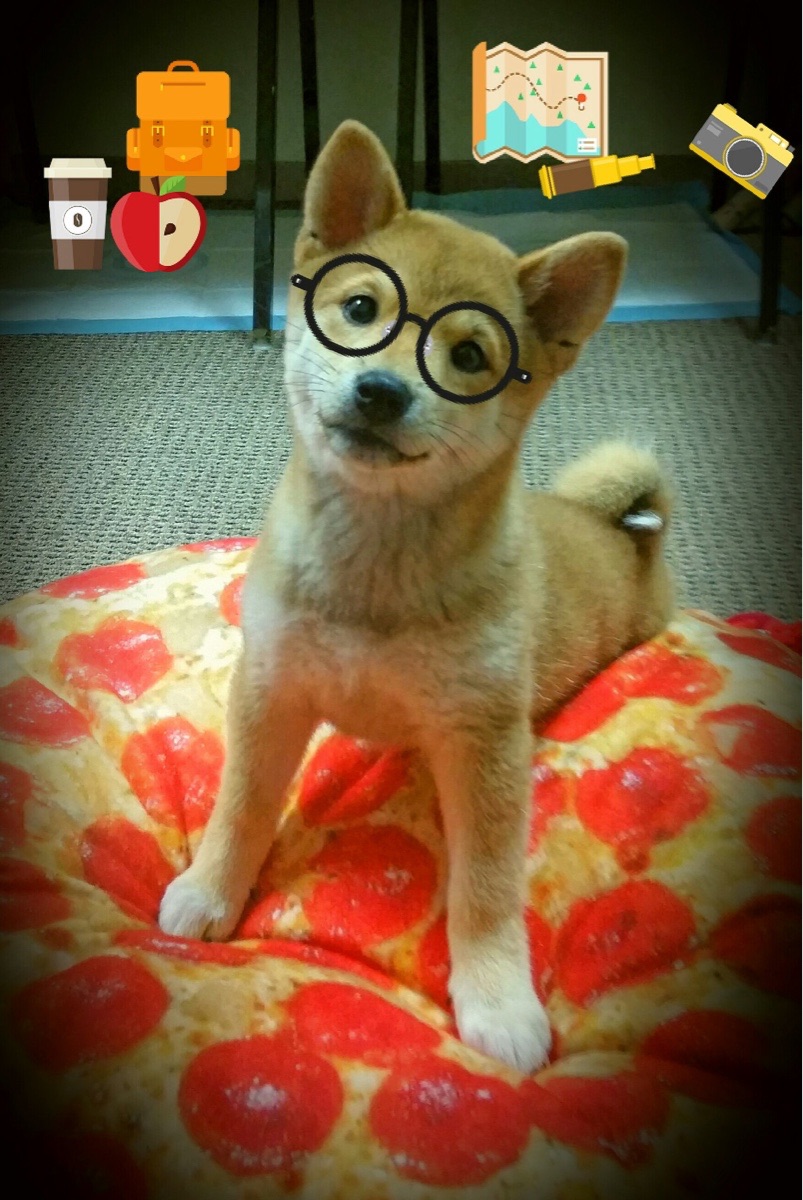 凯尔特人设置场边冥想区，提供观赛期间心理放松服务，凯尔特人的场馆