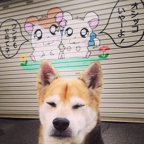 哥伦比亚队在巴黎奥运会比赛中多次通过团队配合得分，哥伦比亚奥运会赛程